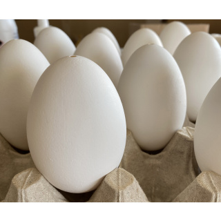 Cojițe de ouă de gâscă golite 10 bucăți pentru decorarea ouălor de Paște kraslice