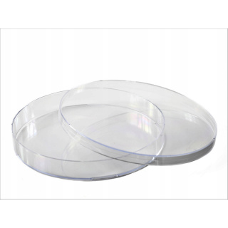 Castron Petri PS 140x20mm 10 bucăți