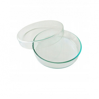 Castron Petri din sticlă 120x20mm