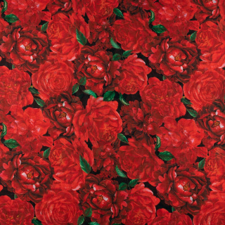 Látka šifón hladká červené kvety vzor 0,5m