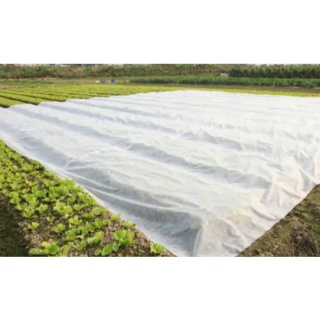 Agrovláknina țesătură albă din biomasă 1.6x100m grosime 70g/m2
