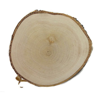 Placă de lemn de mesteacăn șlefuită 10-12cm 1cm