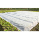 Agrovláknina țesătură albă din biomasă 1.6x100m grosime 70g/m2