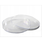 Castron Petri PS 140x20mm 10 bucăți