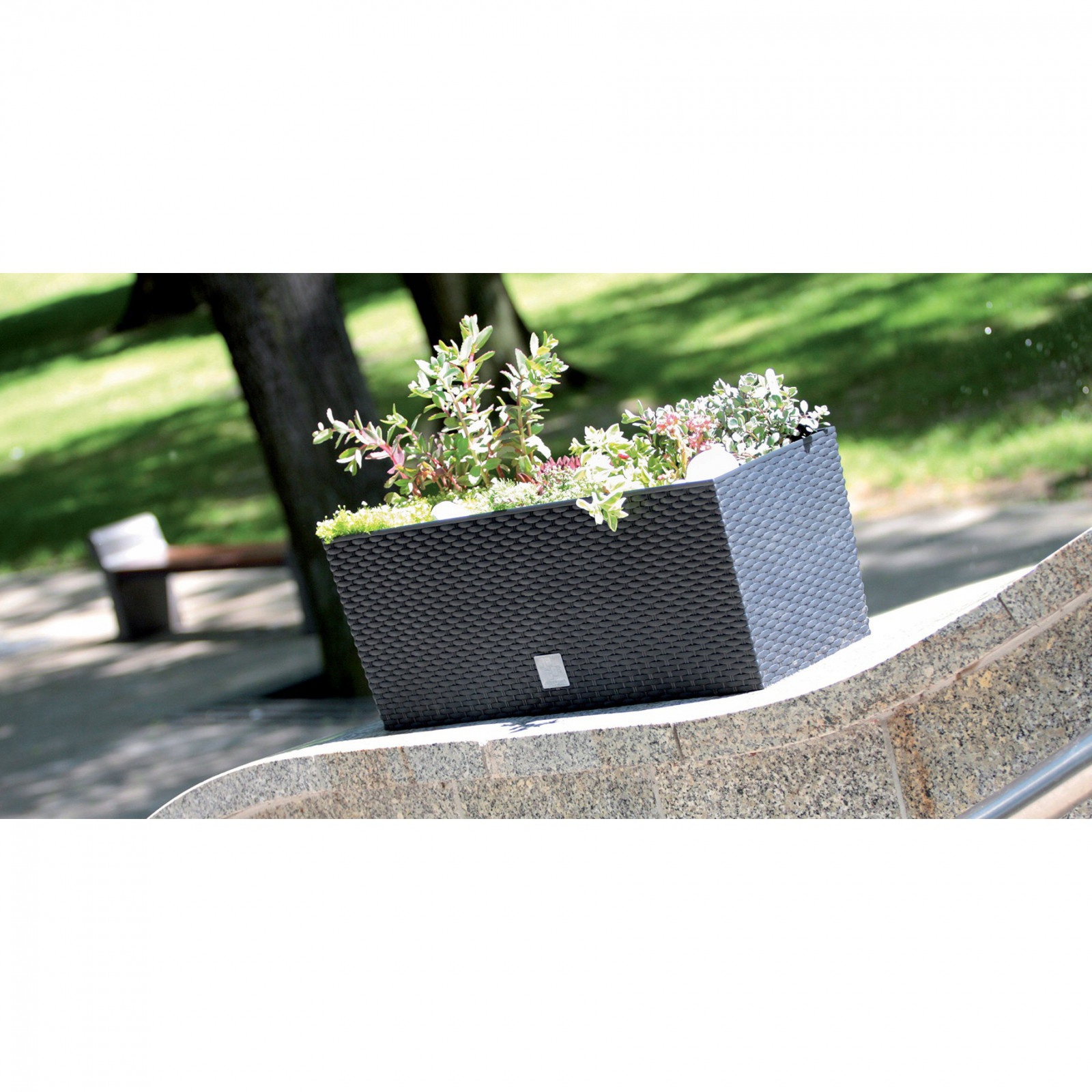 ghiveci 50x18x19cm 17L balcon grădină megamix.sk