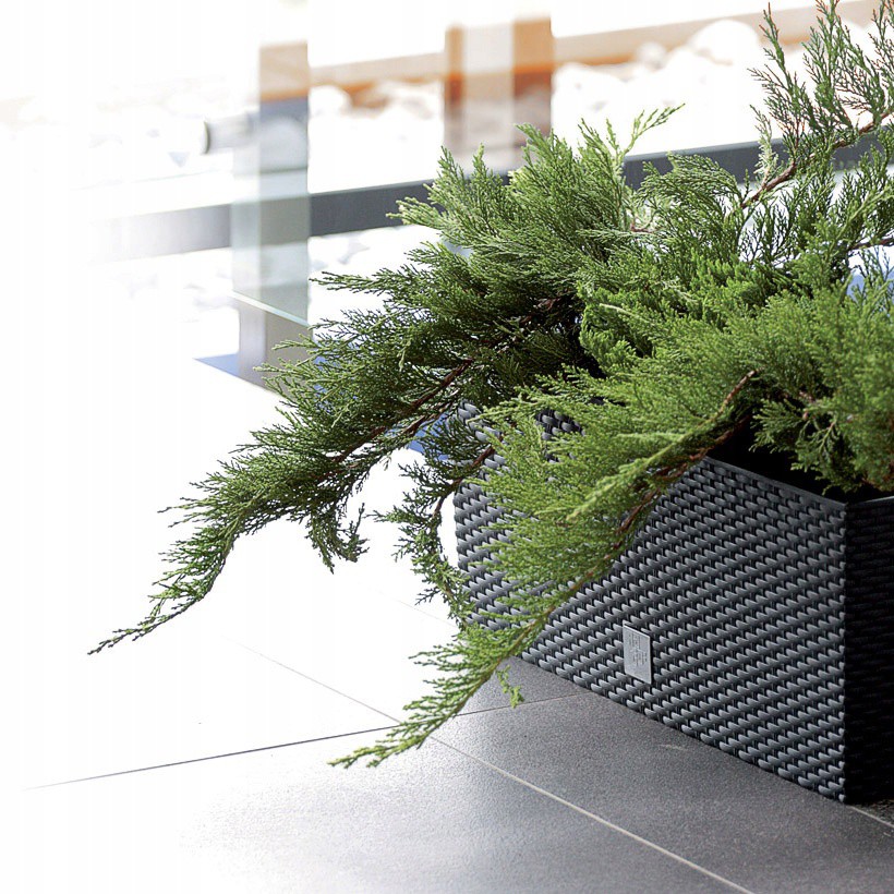 ghiveci 50x18x19cm 17L balcon grădină megamix.sk