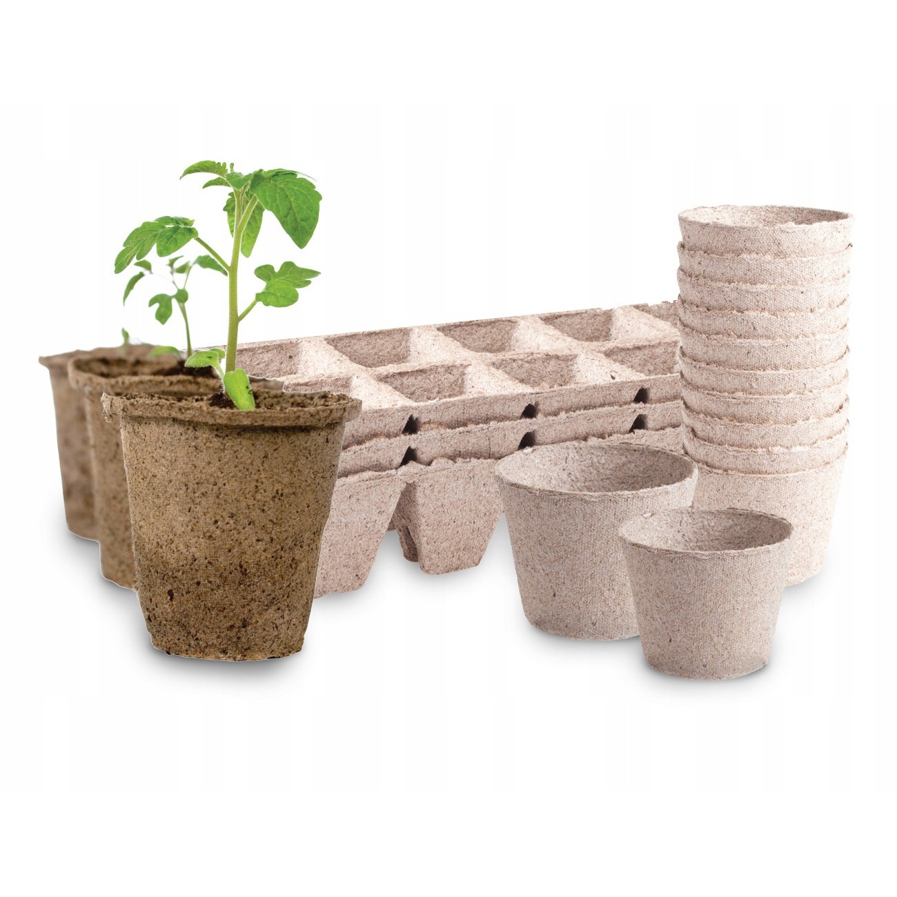 Ghivece pentru plantare 60 buc 60x60mm megamix.sk