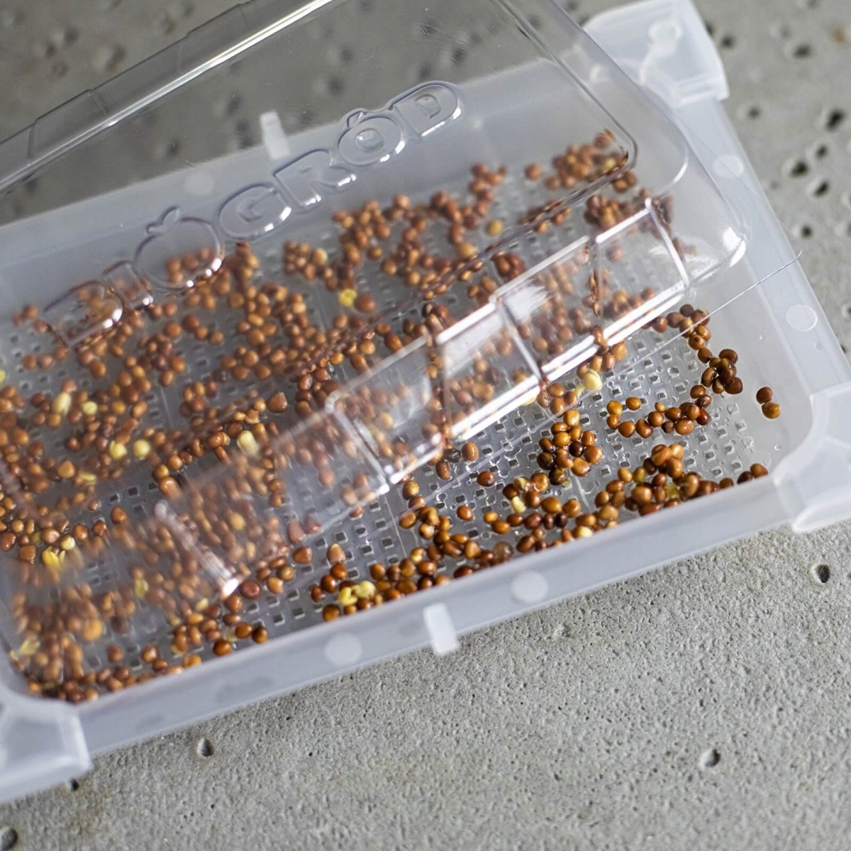 recipient pentru germinare 18,5 x 12,5 cm megamix.sk