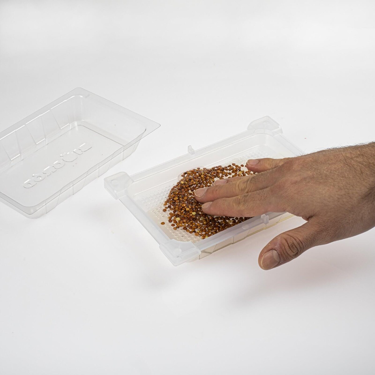 recipient pentru germinare 18,5 x 12,5 cm megamix.sk