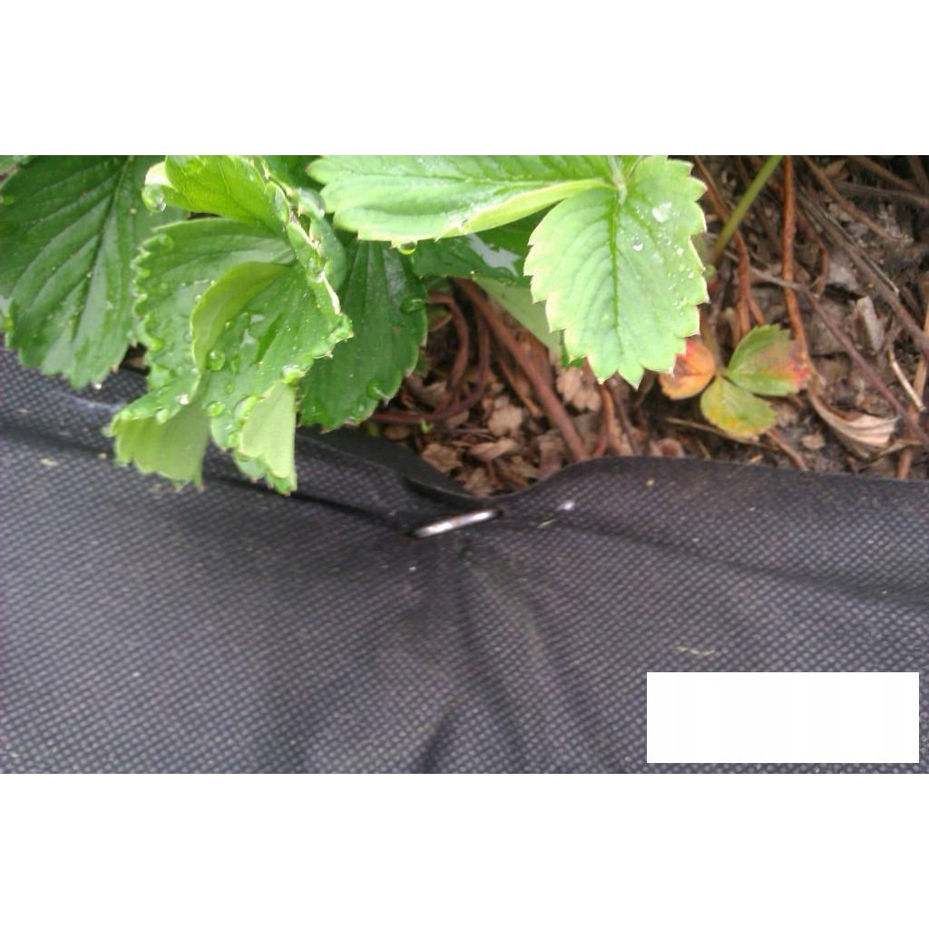 cuieți din oțel pentru agrotextil 100 buc 15cm 3mm megamix.sk