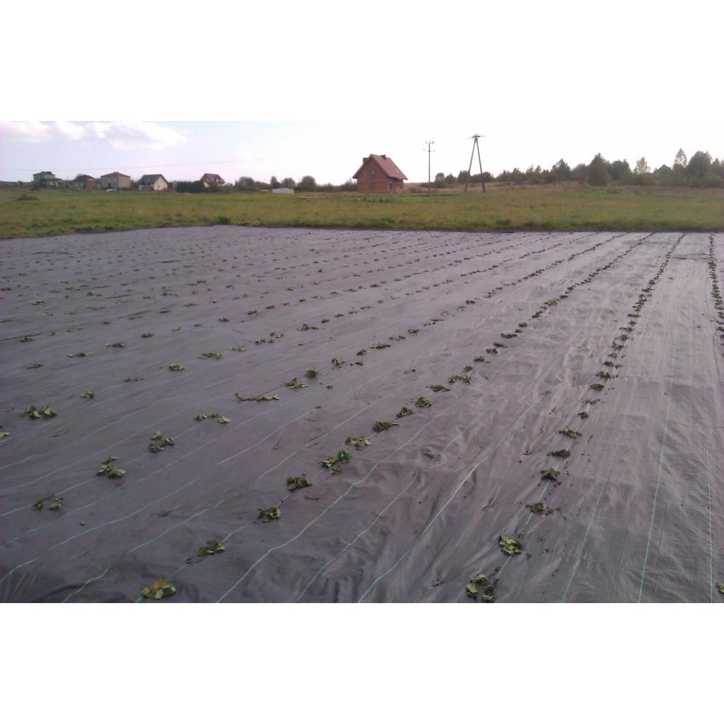 cuieți din oțel pentru agrotextil 100 buc 15cm 3mm megamix.sk