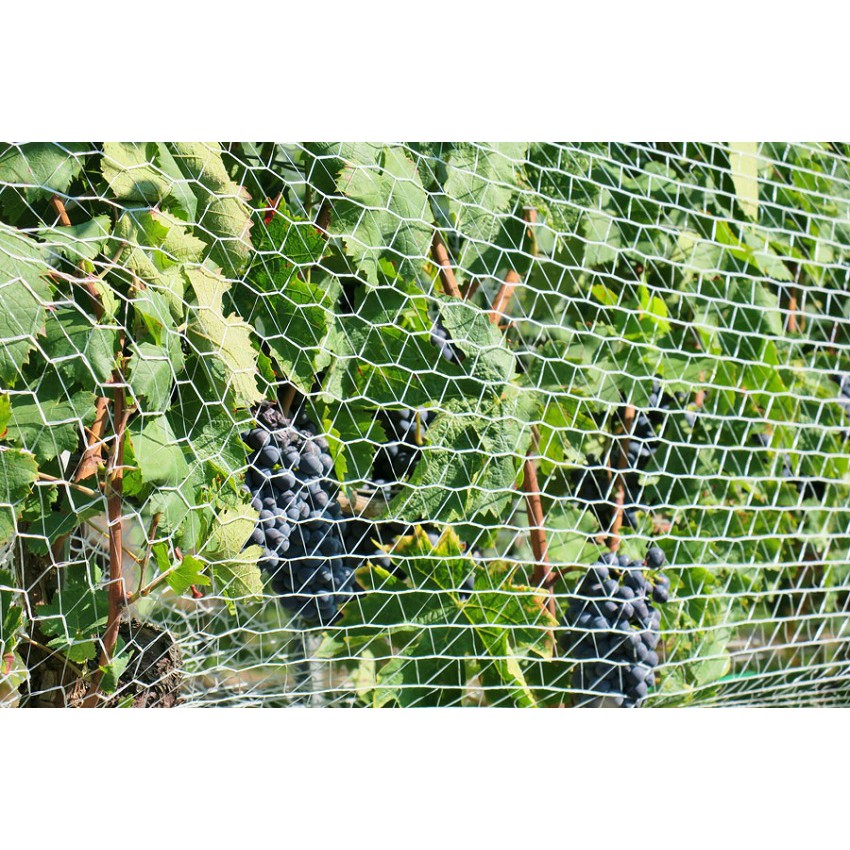 Plasă de protecție împotriva păsărilor 8x14m ochi 40x40mm megamix.sk