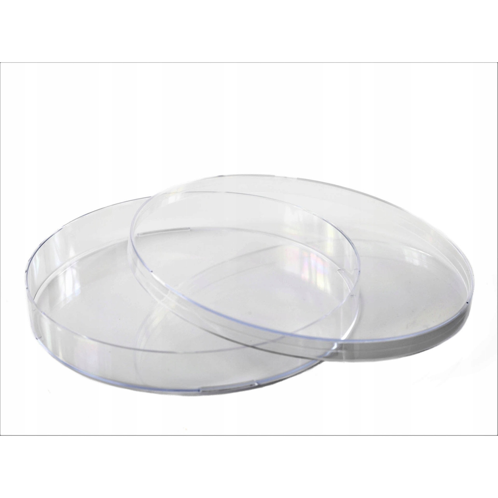 farfurie Petri PS 140x20mm 10buc megamix.sk