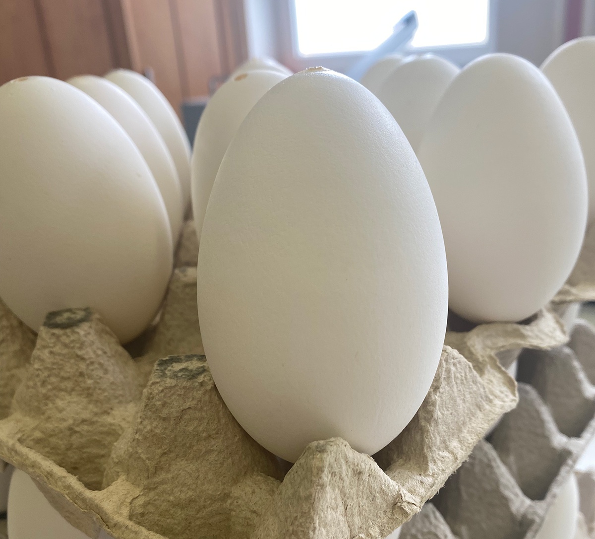 coji de ouă de gâscă sparte pentru decorare ouă de Paște încondeiate megamix.sk